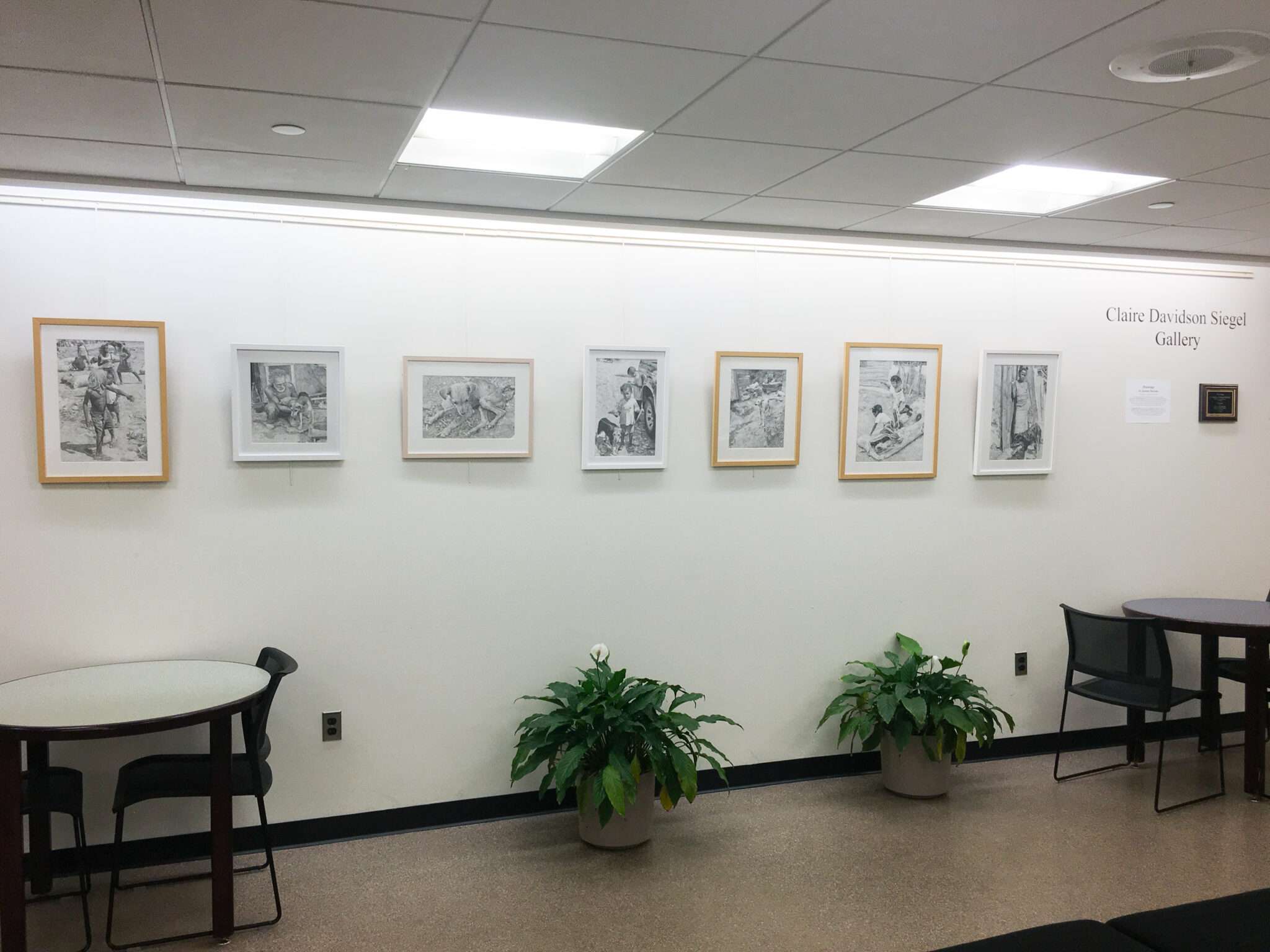 Realistic Pen & Ink Drawings On View in Claire Davidson Siegel Gallery