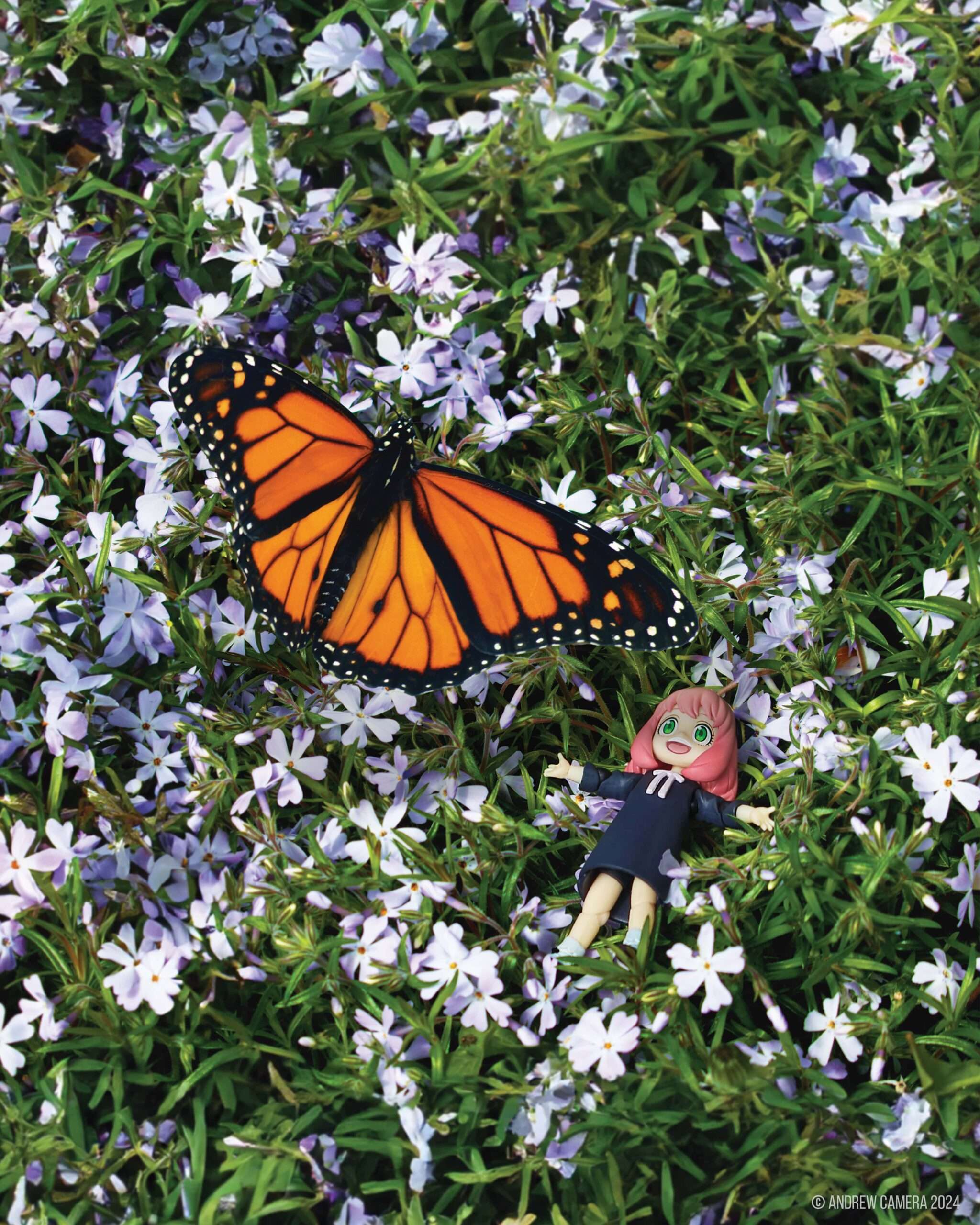 ARCHIVED 2025: Toy Photography by Andrew Camera – Patchogue-Medford Library