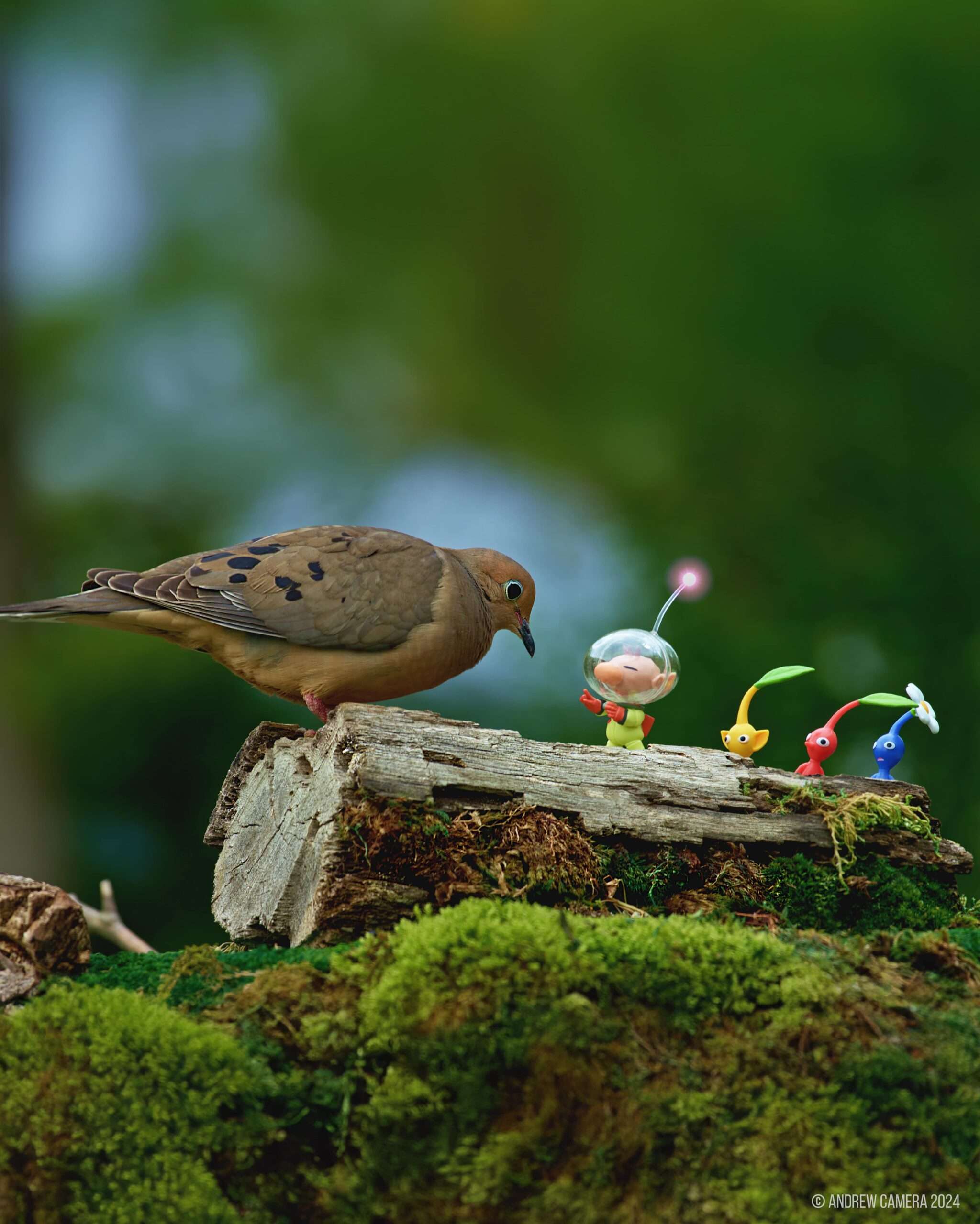ARCHIVED 2025: Toy Photography by Andrew Camera – Patchogue-Medford Library