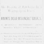 Brooklyn Daily Times, 1895