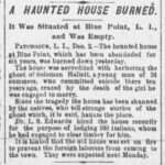 The Brooklyn Citizen, 1893