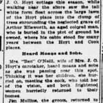 The Evening World, 1903