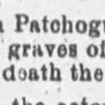 The Brooklyn Citizen, 1895