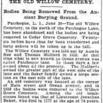 Brooklyn Daily Times, 1900